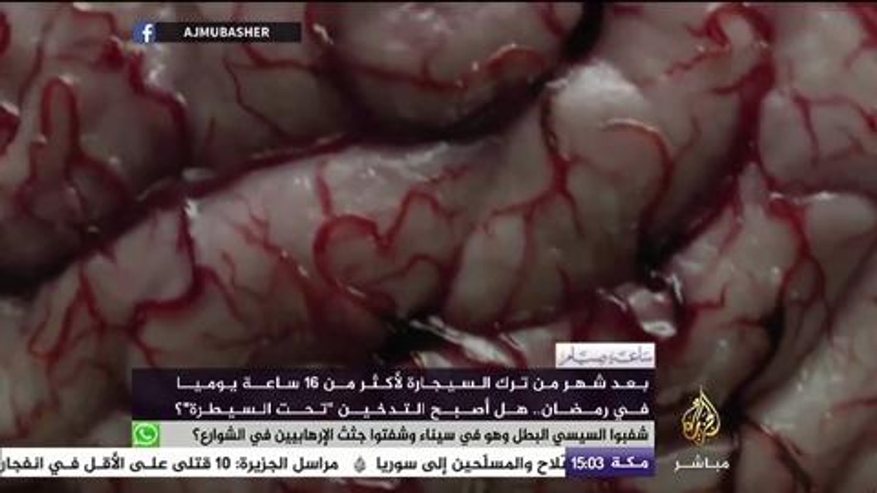 بعد ترك السيجارة لأكثر من ١٦ ساعة يوميا في رمضان ..هل أصبح التدخين تحت السيطرة ؟