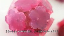 Sakura Cherry Blossom Wagashi | さくらの和菓子