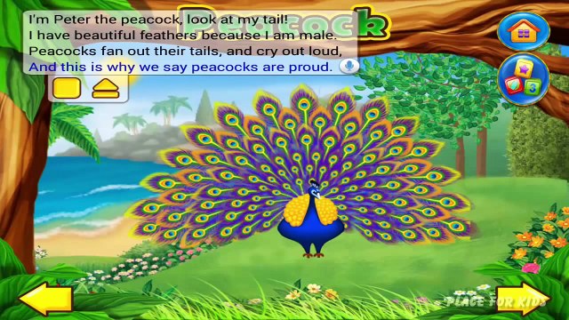 Animal Zoo Interactive Flash Cards