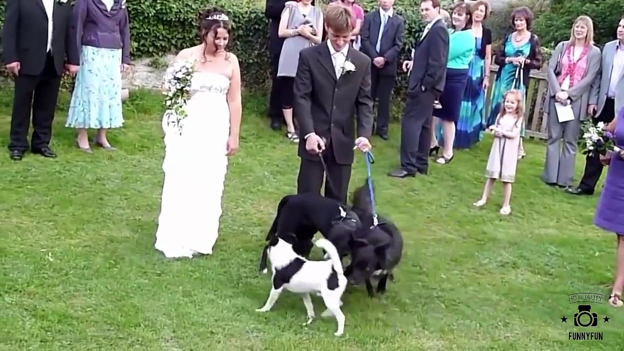 Funny Fails - Funny Videos -  Best Funny Videos 2015