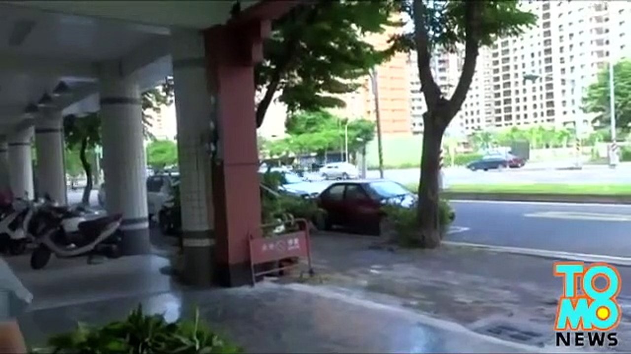 Loyal dog waits for owner Abandoned pet waits for two years for master to return