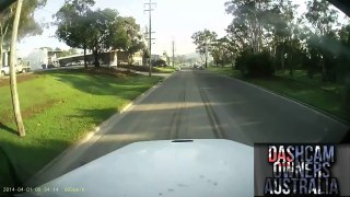 Truck and Dog cut off by Rigid truck - Wetherill Park N.S.W