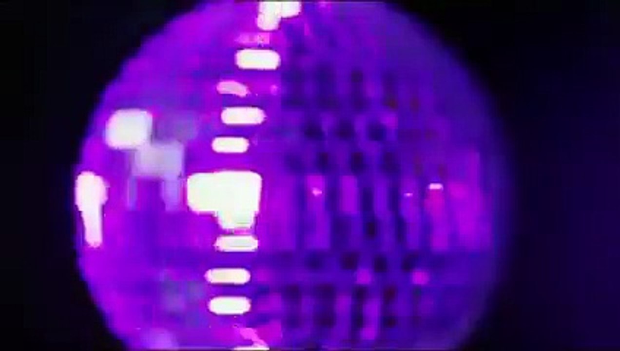 DeeJay-Katzen in der Disco gehen voll ab!