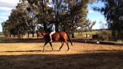 Randy bareback 21 June 2015