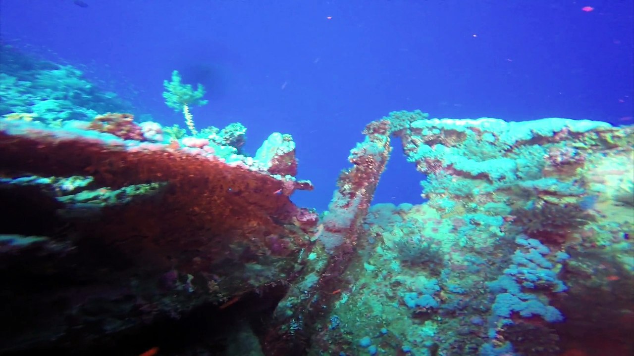 Numidia wreck