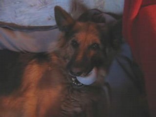 La balle-oiseau-doudou