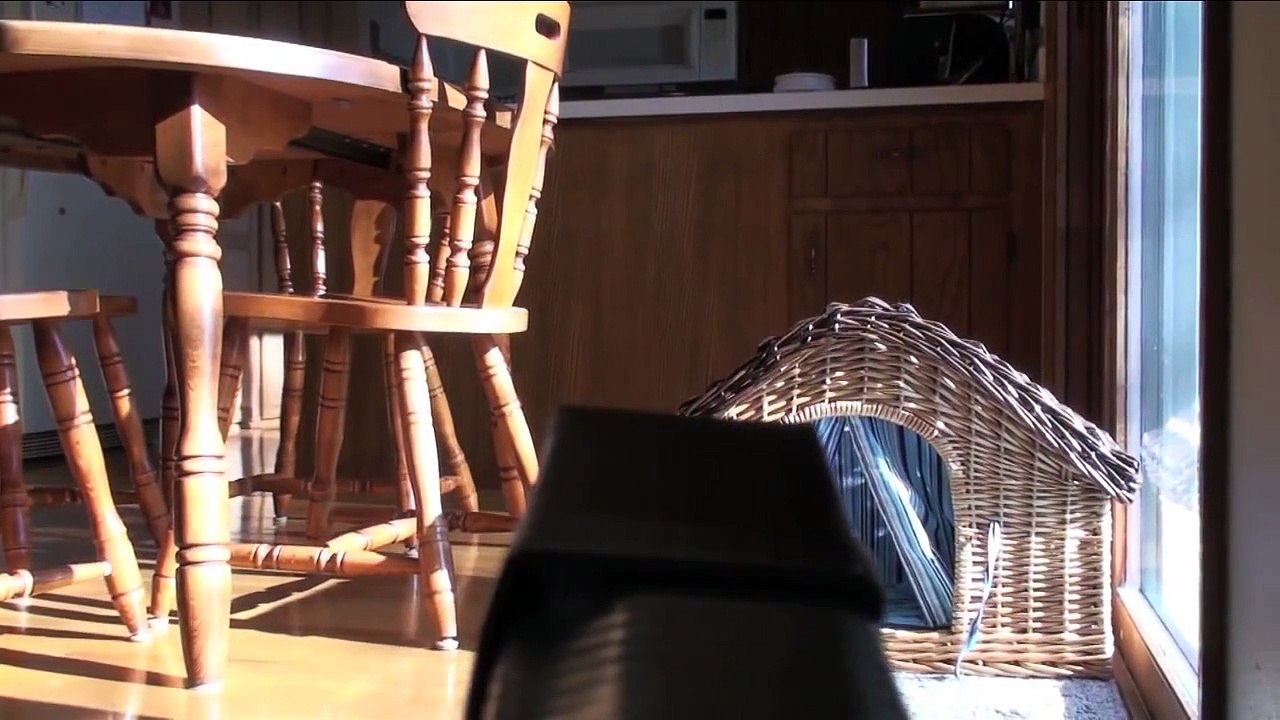 Cat Tank Wars - Mission: Kibble