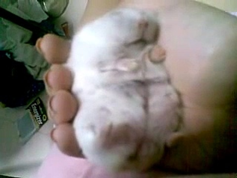 Sleeping Beauty