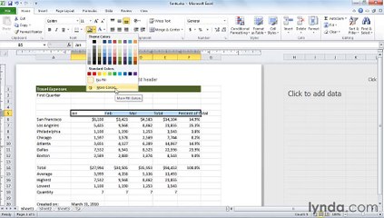 MS Excell Applying fonts, background colors, and borders
