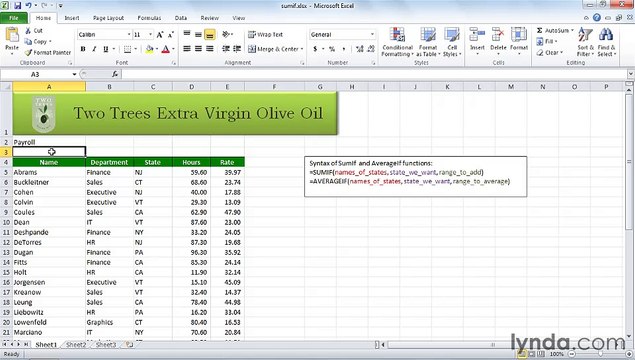 MS Excell Using SUMIF and AVERAGEIF