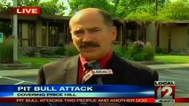pit bull attack people, tazed 23 times with no effect