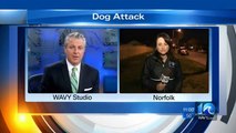 3 pit bulls attack 4 people, pit bulls at their best