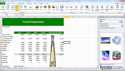 MS Excell Adding pictures and shapes