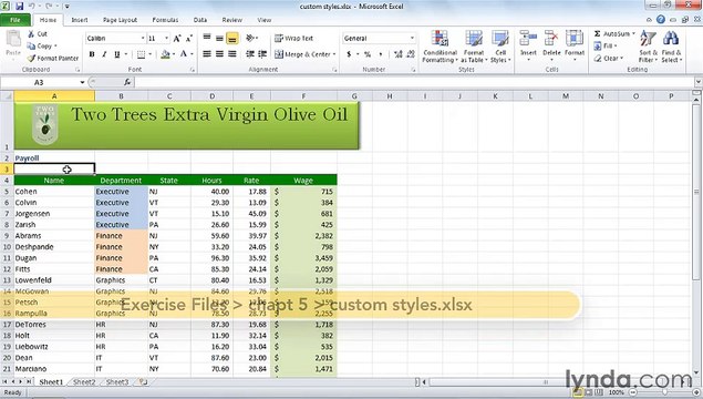 MS Excell Creating and sharing styles