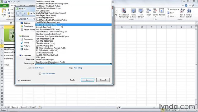 MS Excell Creating and using original templates