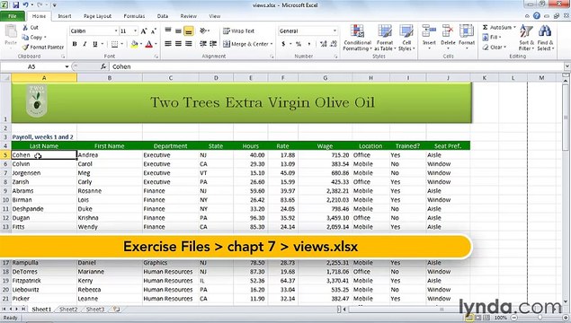 MS Excell Creating multiple custom worksheet views