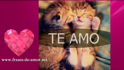 bonitas frases de amor