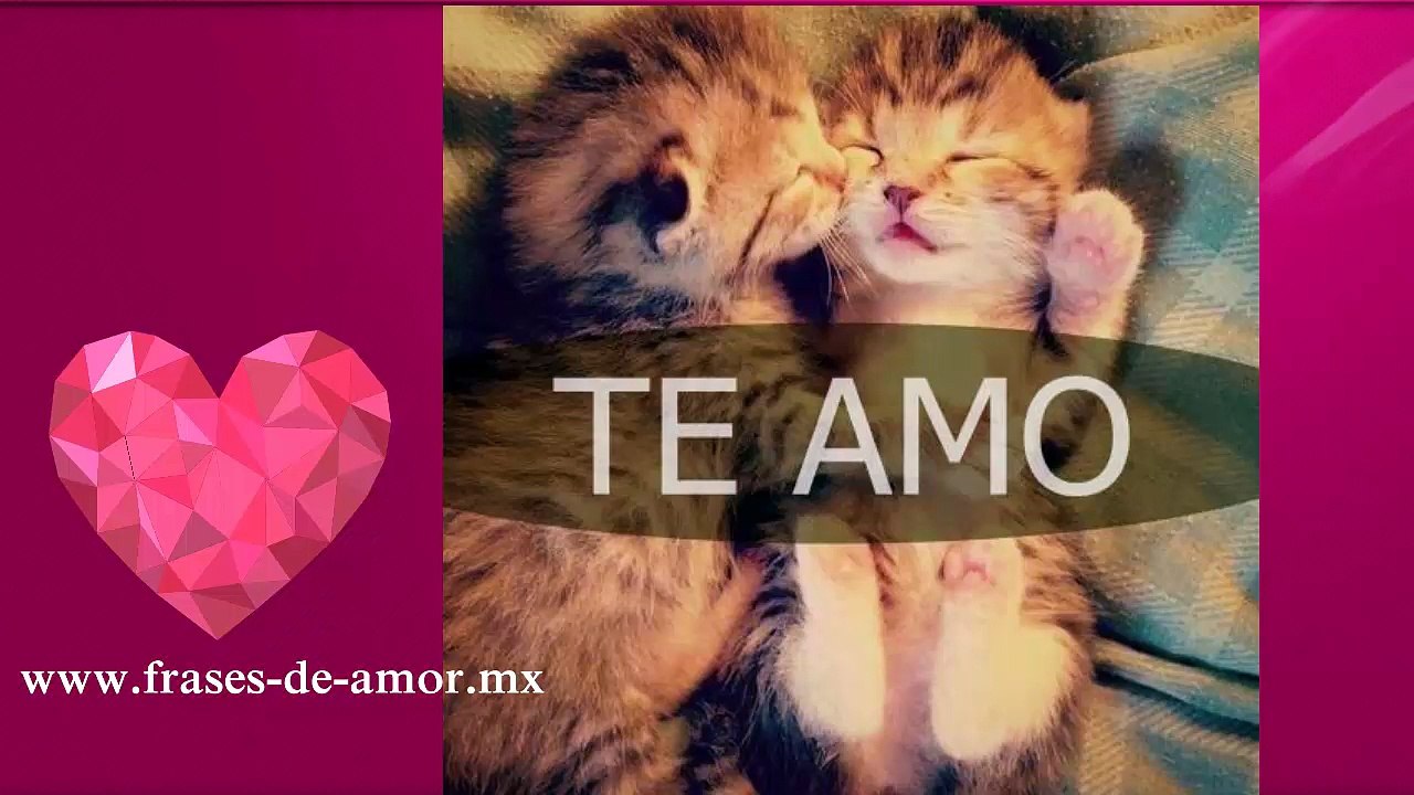 bonitas frases de amor