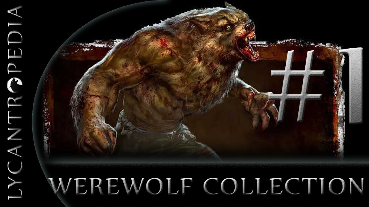 Various Werewolf Transformations