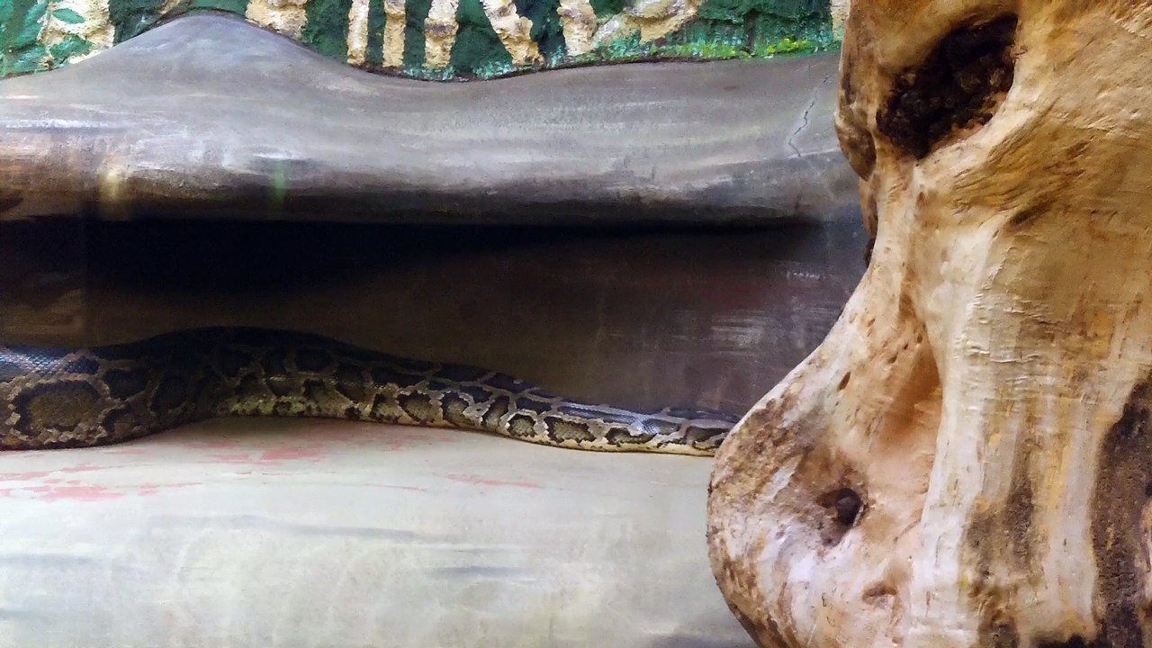 Weiteres im Allwetterzoo Münster