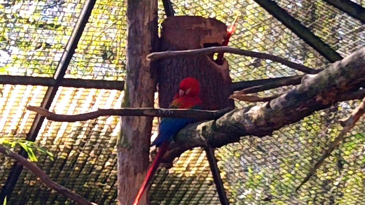 Im Zoo Münster - Schluss