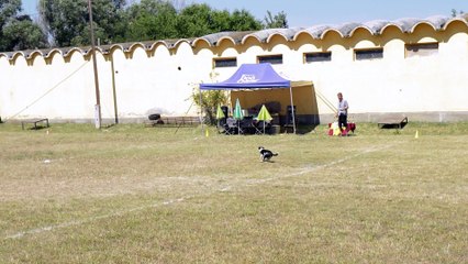 20150704 AWI - Tárczy Maya és Looney