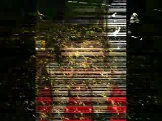 Elle est pas belle la vie