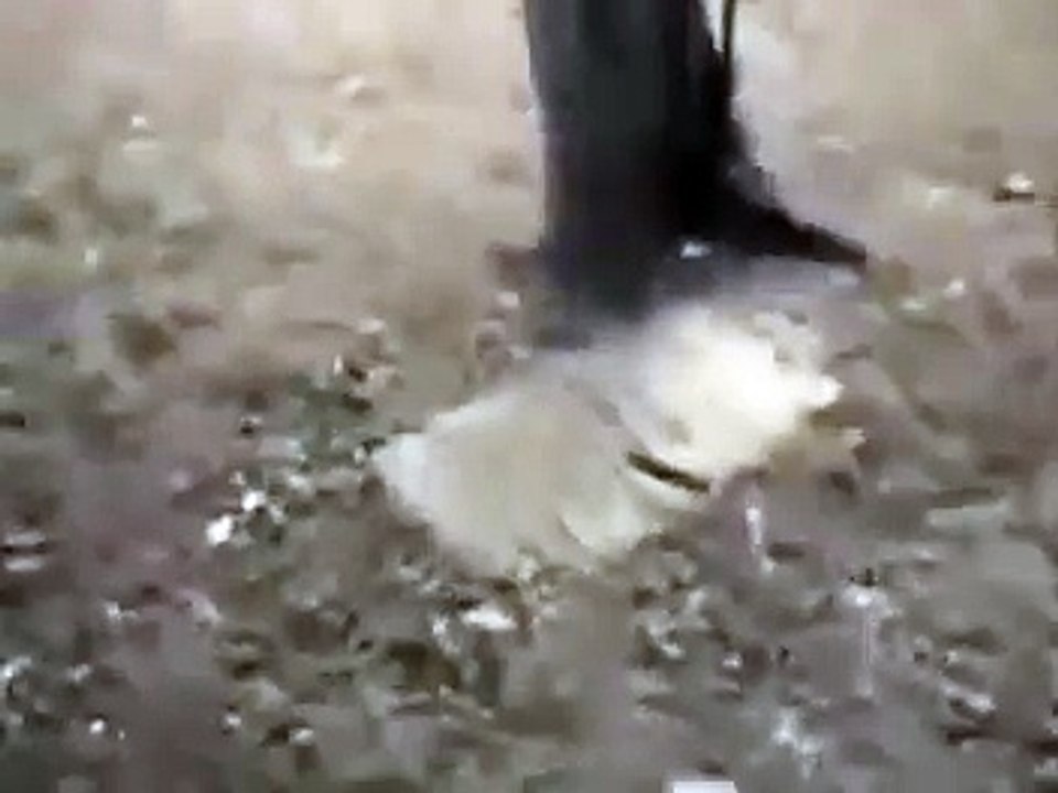 Esprit dans un cimetière en plain jour