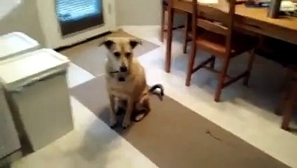 Birileri çok acıkmış