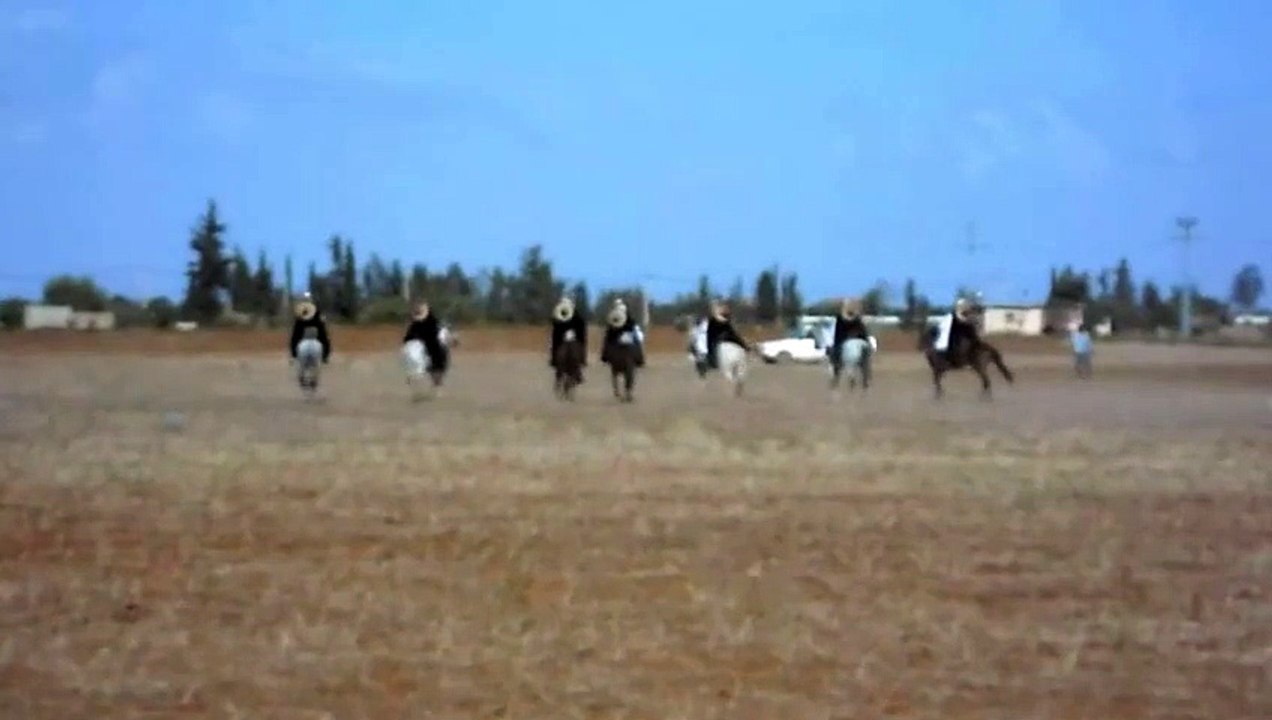 chevaux arabe 3/.3
