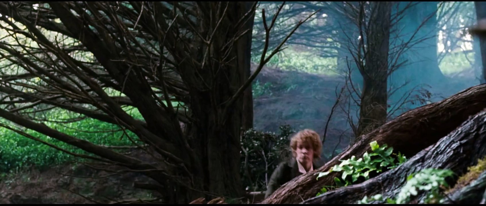 Lord Of The Rings - The Catnip Mafia - The Fellowship Of The Catnip Mafia