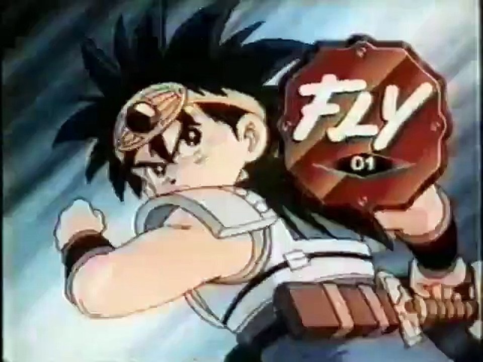 Fly
