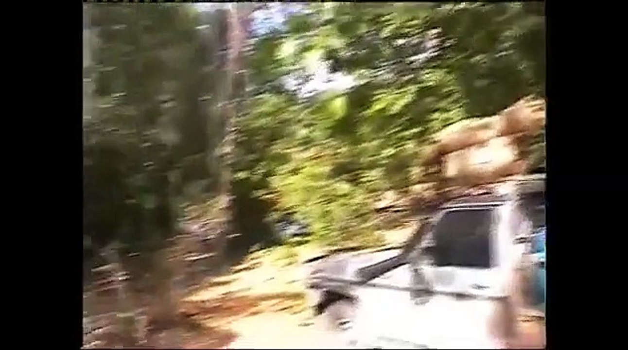 WILD chasse au sanglier, MONSTER sangliers / WILD BOAR HUNTING, MONSTER WILD BOARS