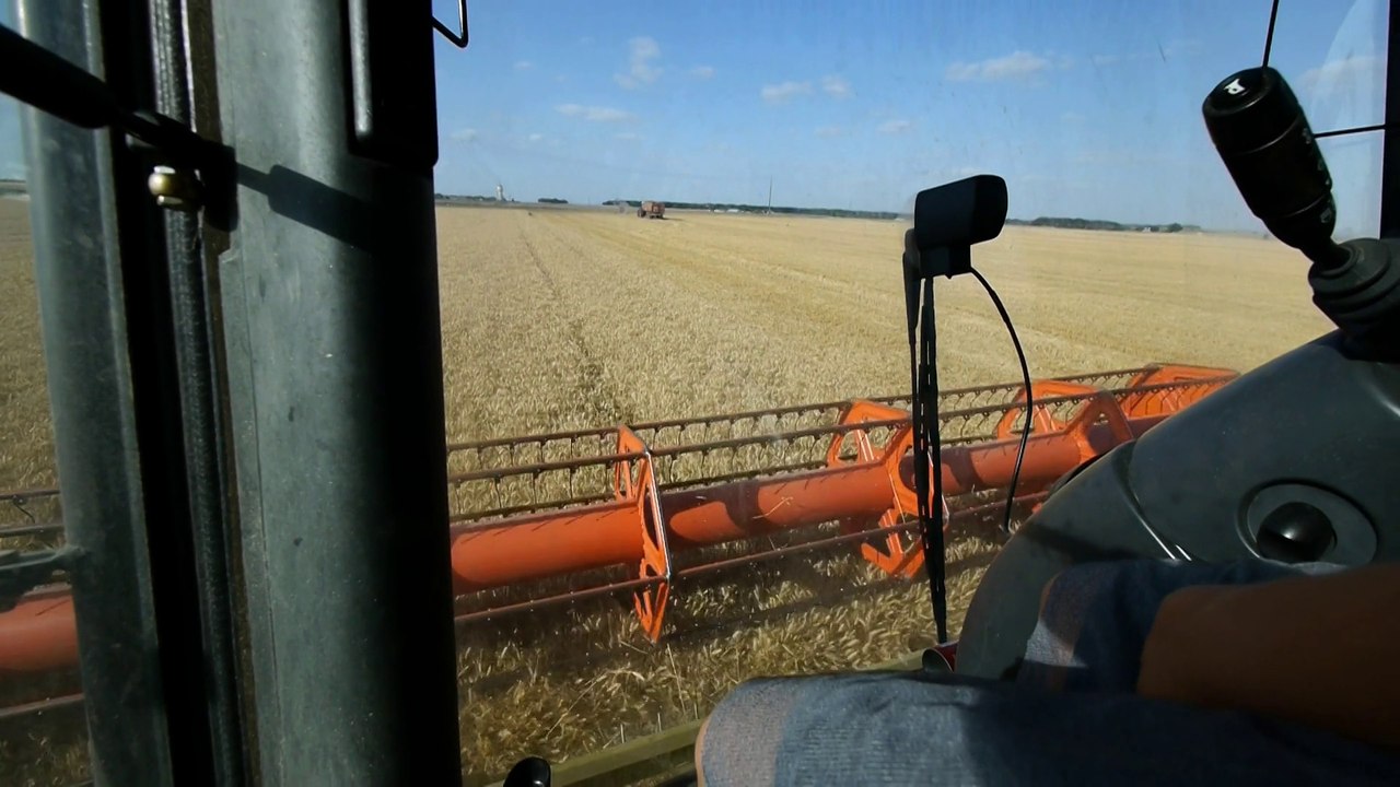 Moisson 2015