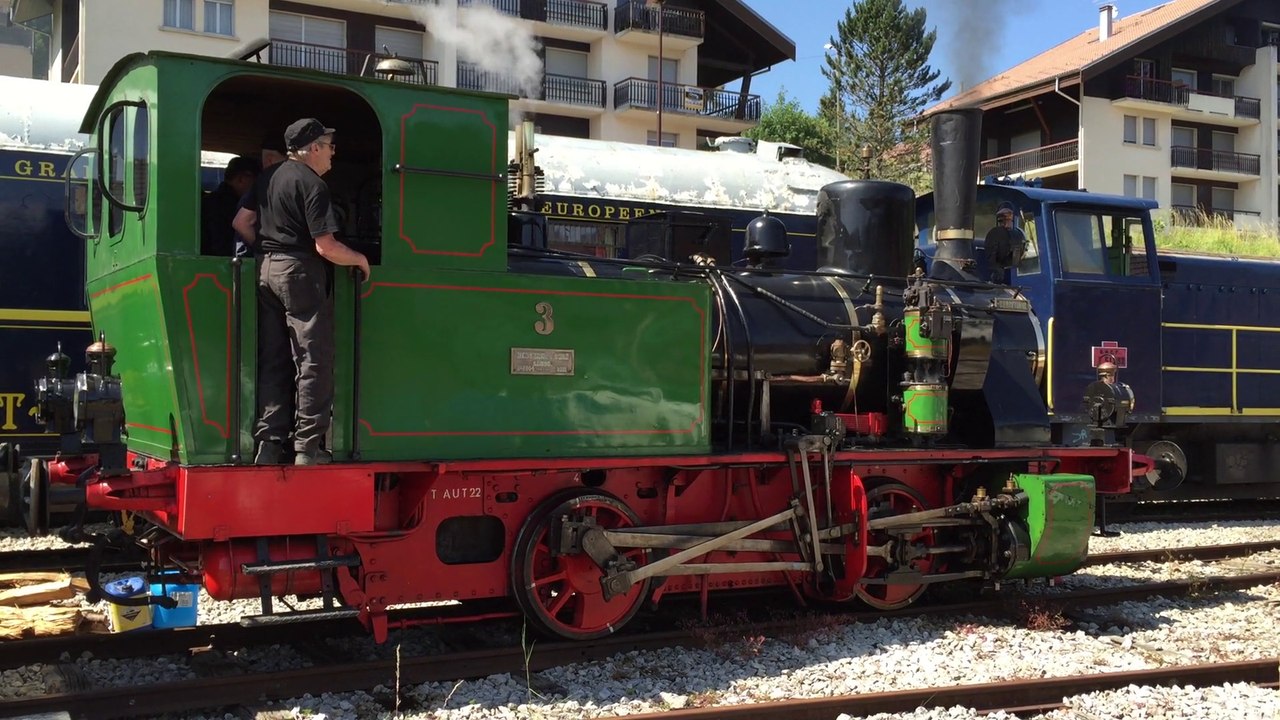 Fête au Conifer - 100 ans de la Tigerli - Une vapeur 020 en action.