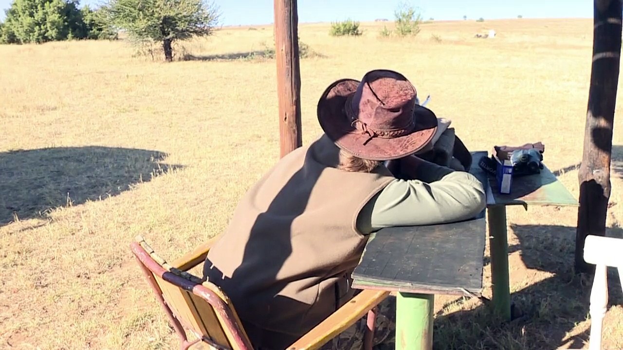 Trophäen-Jäger sehen sich als Artenschützer