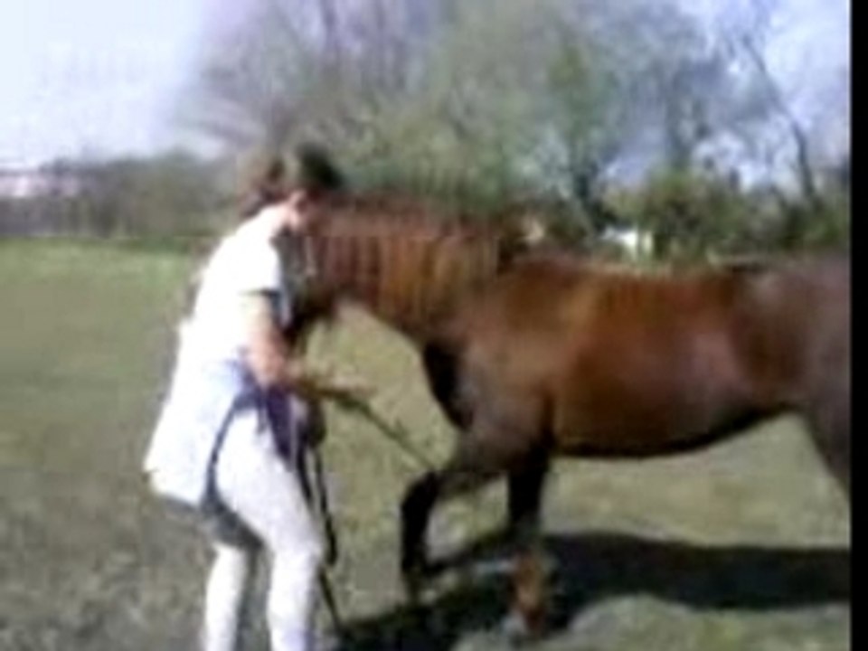 Vodka marche espagnol