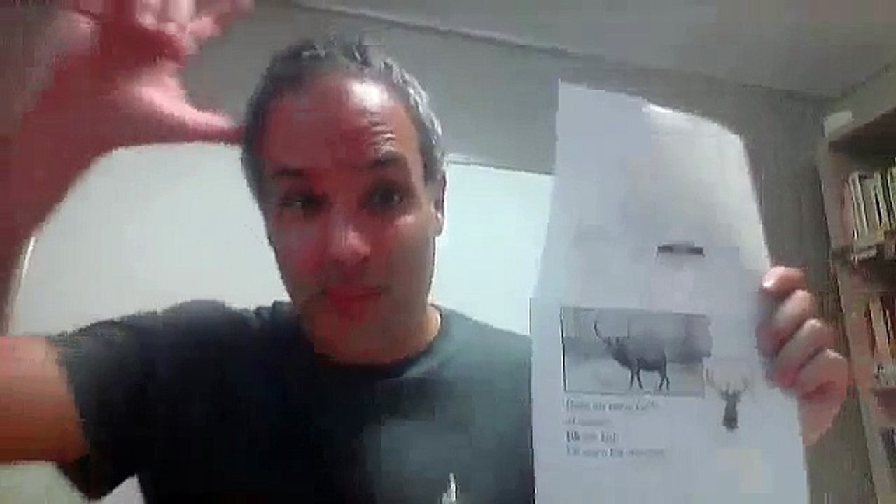 e   animals, animals