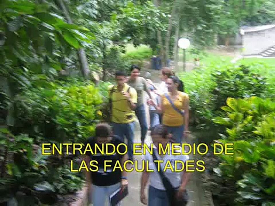 MAYO El Salvador