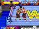 WWF Wrestlefest - Play with Legion Of Doom