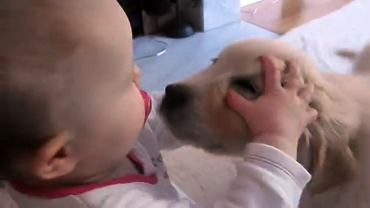 Bebek ve Sevimli Köpek