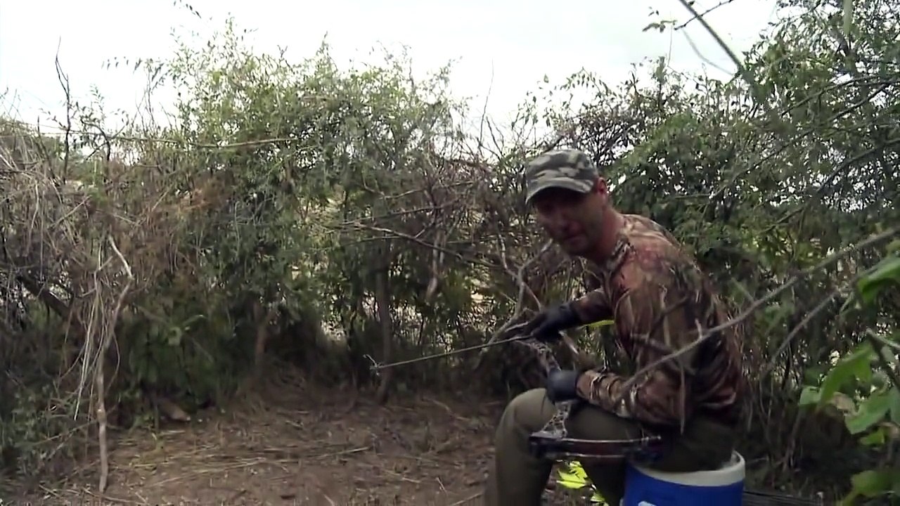 Охота на голубя с луком! - video Dailymotion