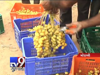 Young Brains! Meet 90-year-old producer of 'organic yellow dates', Morbi - Tv9 Gujarati