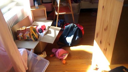 La belle au bois dormant