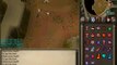 Runescape Dragon Slaying - With D Hally!!