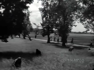 ANARI - 1959 - (Classic Bollywood Film - Comedy) - (Part 3 of 15)