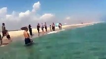 شاطئ المعمورة خروج قرش يفاجئ السباحين