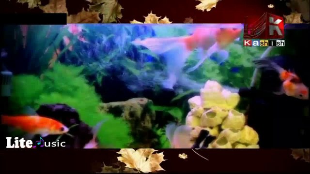 Saath By Humera Channa -Kashish Tv-Sindhi Song