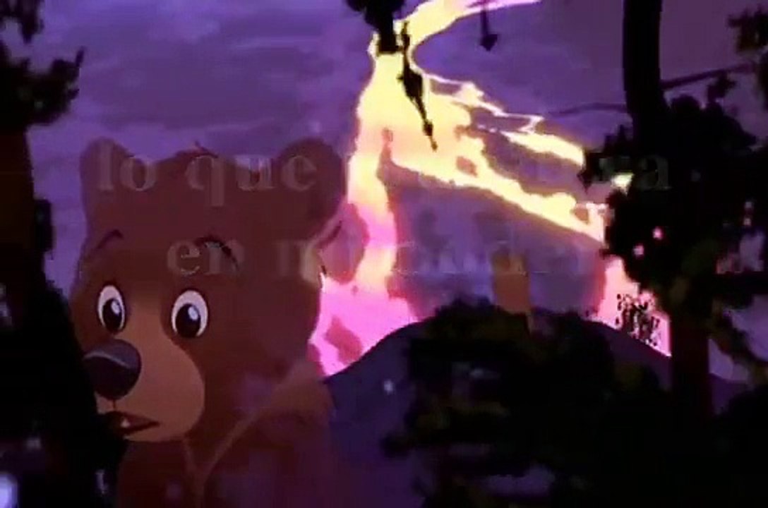 No hay salida - Tierra de osos letra