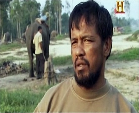 O Mapa da Condição Humana - Ep.8 - A Extinção das Especies - Historia